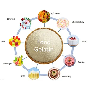 Edible Gelatin Used as Food Additive in Gummy, Soft Candy, Marshmallow